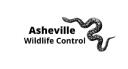 Asheville Wildlife Control logo